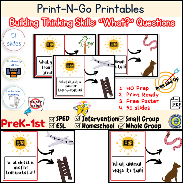 What’ Question Words Activity Set | Receptive Thinking Skills Mats | Downloadable PDF for Early Learners & ELL