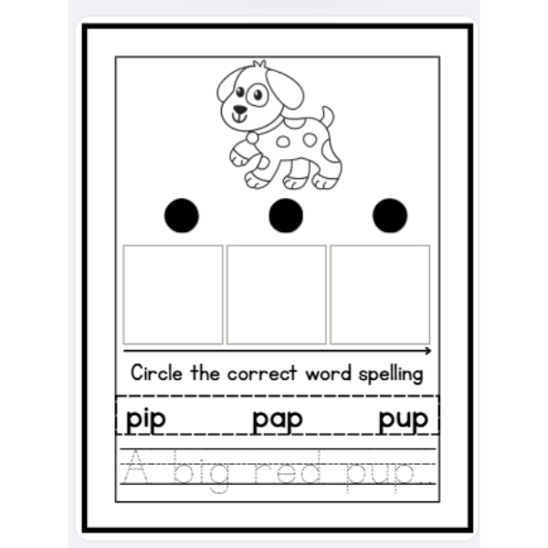 Decode and Spell CVC Words | Downloadable PDF| Kinder-1st